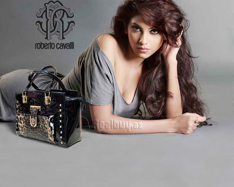 1461845483model_2016_bag