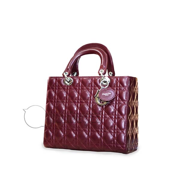 1491040138chiristian-dior-sumkalari