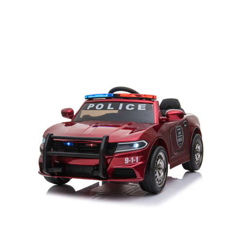 1558409199polis-avtomobili