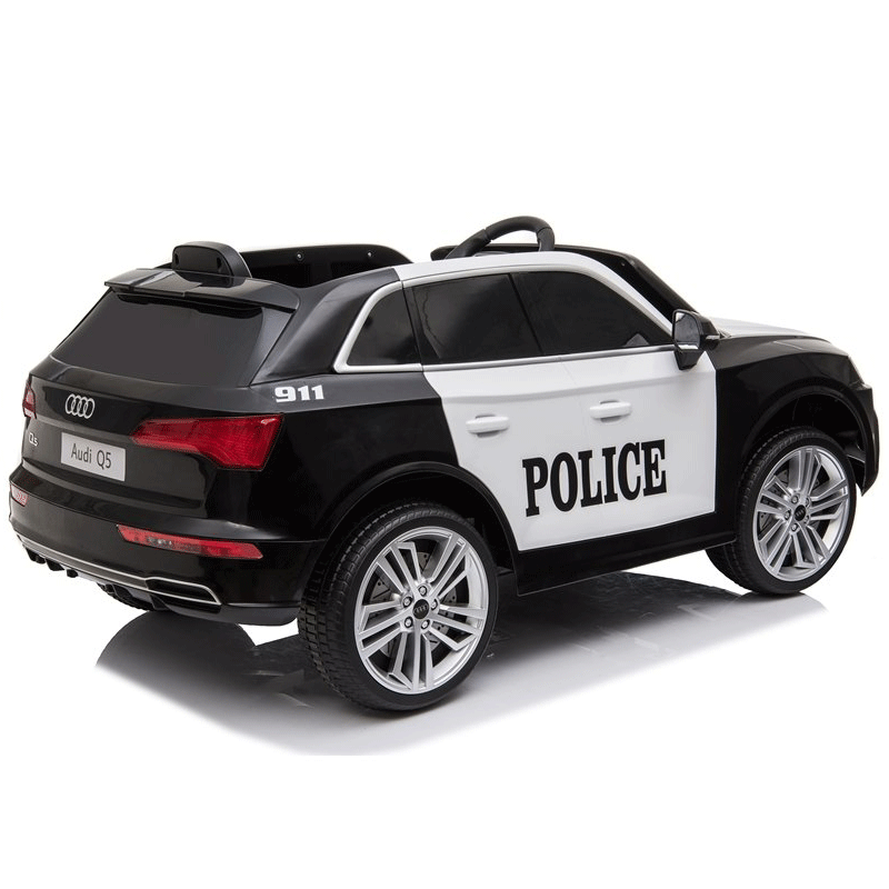 1595317135polis