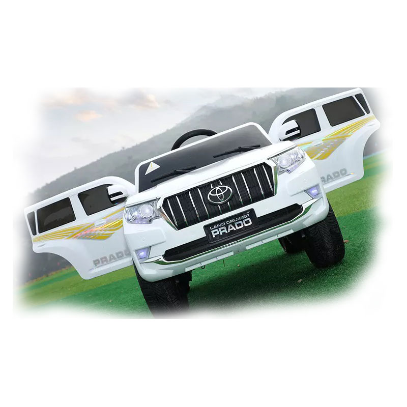 1610536495PRADO