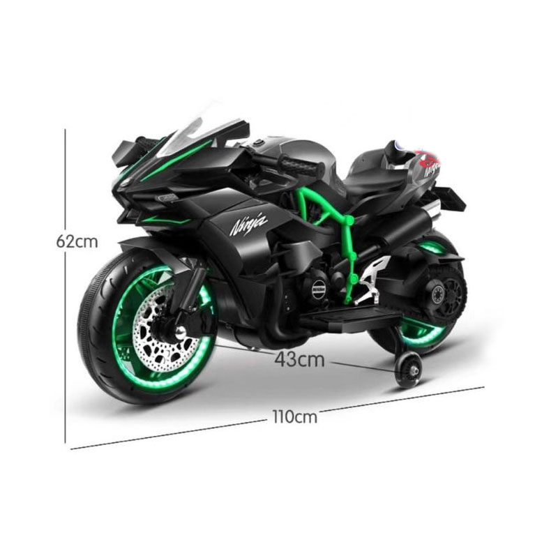 1613561879elektro-motosklet