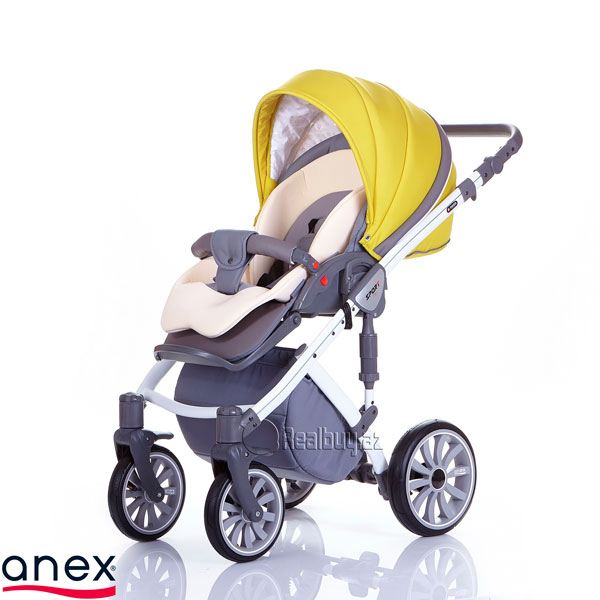 1486911811Anex_sport