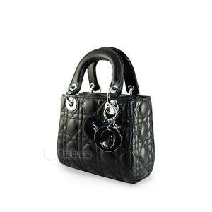 1491901497Dior_mini